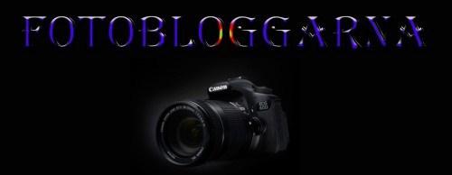 Fotobloggarna